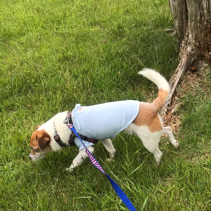 0173bf96 91ca 4329 8283 043fdb6ef4bf 1527046070820