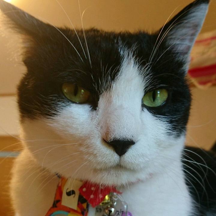 0173fa94 c5ef 4c05 9ae0 287106e3c7fc 1564890955943