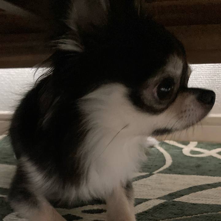 01740e55 d889 4dd4 b38f 3082bce1a1e5 1633752538349