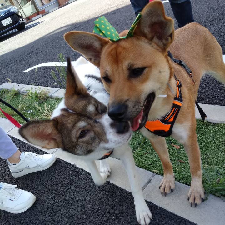 01741c1a 59ef 4ef6 925a c013b7a85630 1568538827677