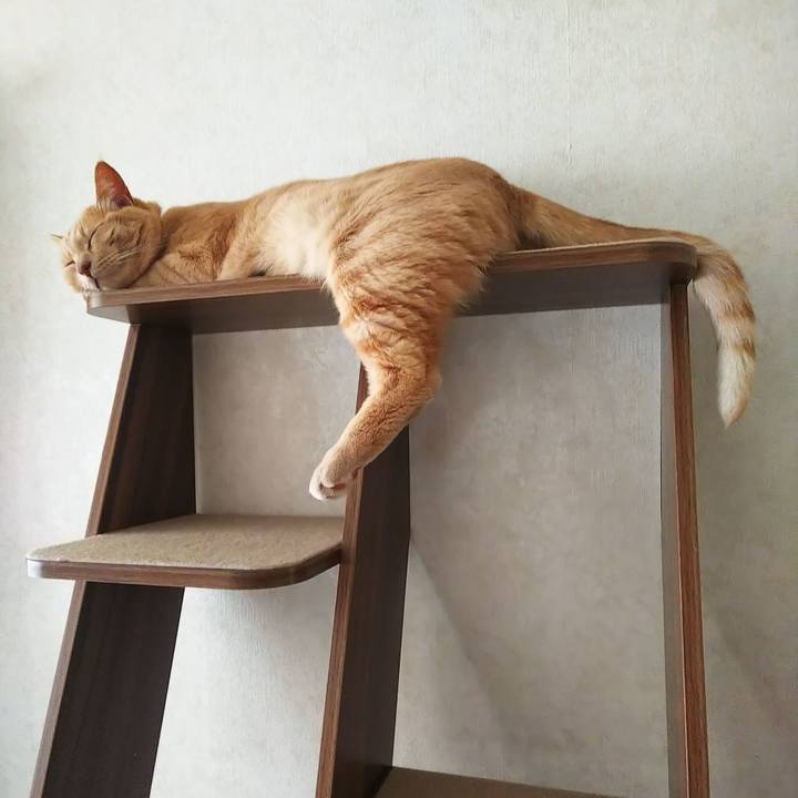 01748bd8 f2a6 4ff3 82fd 79d404d51195 1599467001565