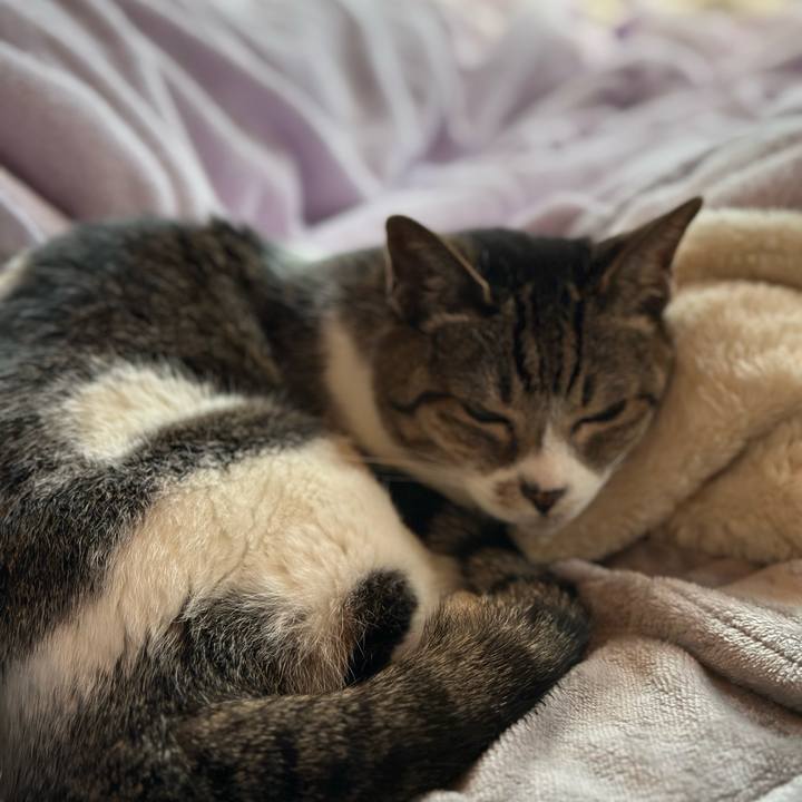 0174a51f 6976 4bb8 a4a7 b6ddc897c7fb 1682805684997