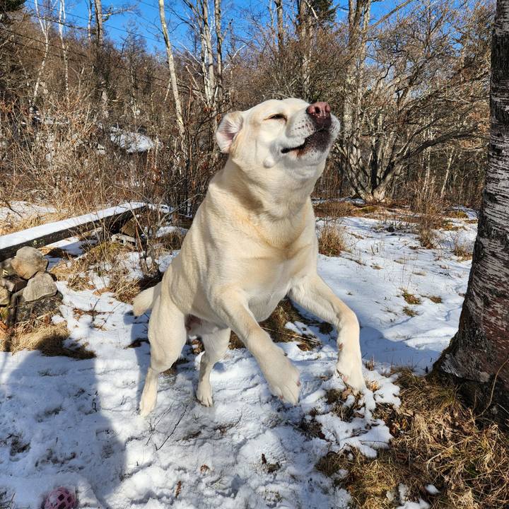 0174d2e3 d066 435f a175 ccc8d1350105 1767067210726