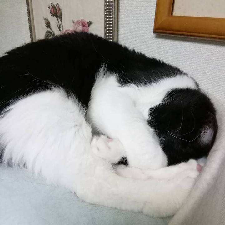 0174e992 7d3c 4311 b0e9 6b24ec94b860 1555581898810