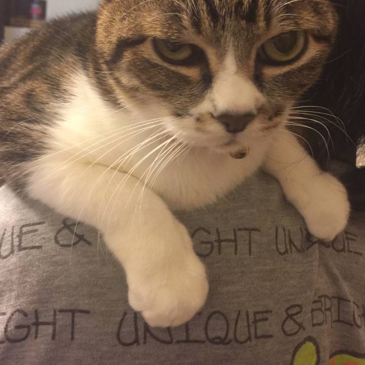 01751aa3 676f 44b3 8f01 d4a38bac8c9f 1547995717272