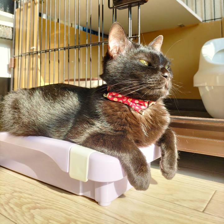 0175729e 854d 4f49 9ca6 9bf01d4a694b 1680908778586