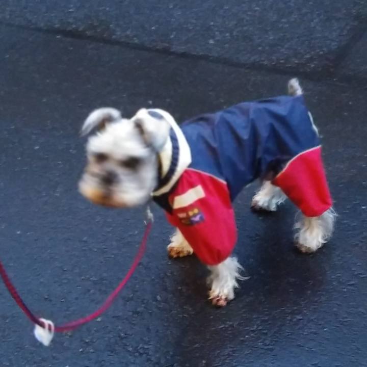 017585bd cfc7 4126 bdf2 6c1f33ed1a01 1614637476232