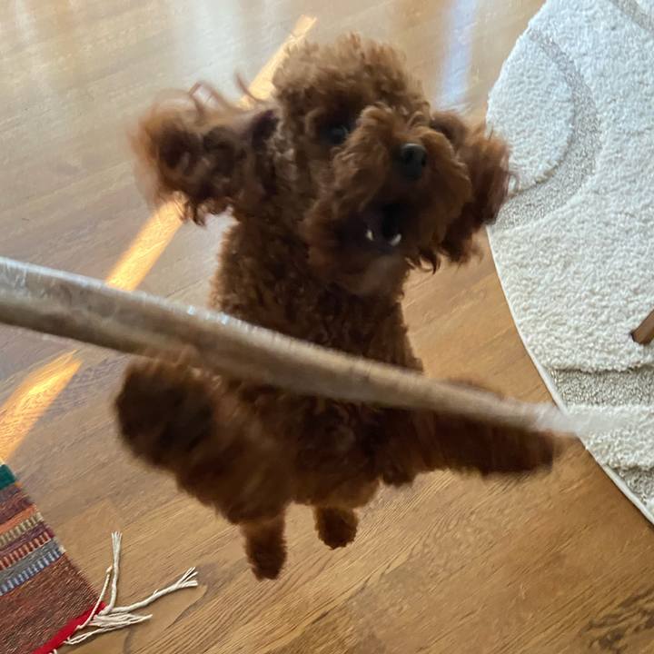 017585c2 2550 43a3 9ec4 ae95a3bc676d 1605307578429