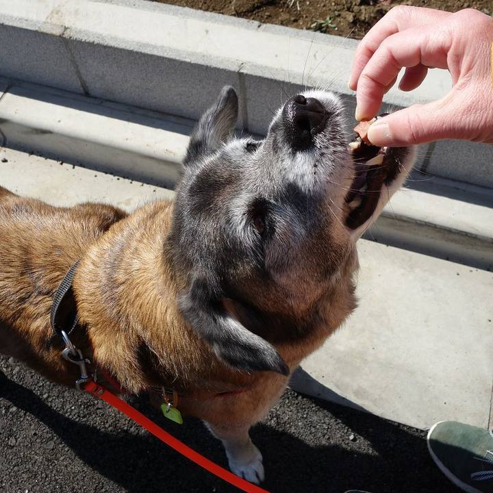 01758f5a a8b3 4833 89a4 513c920fbd13 1521251945254