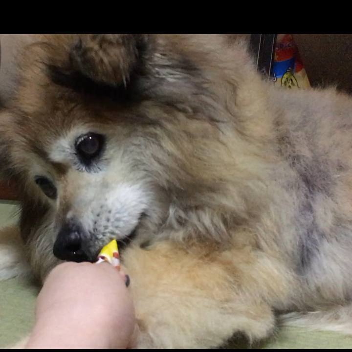 01759f80 441d 45fe 950a 393e4bb4e967 1637710174283