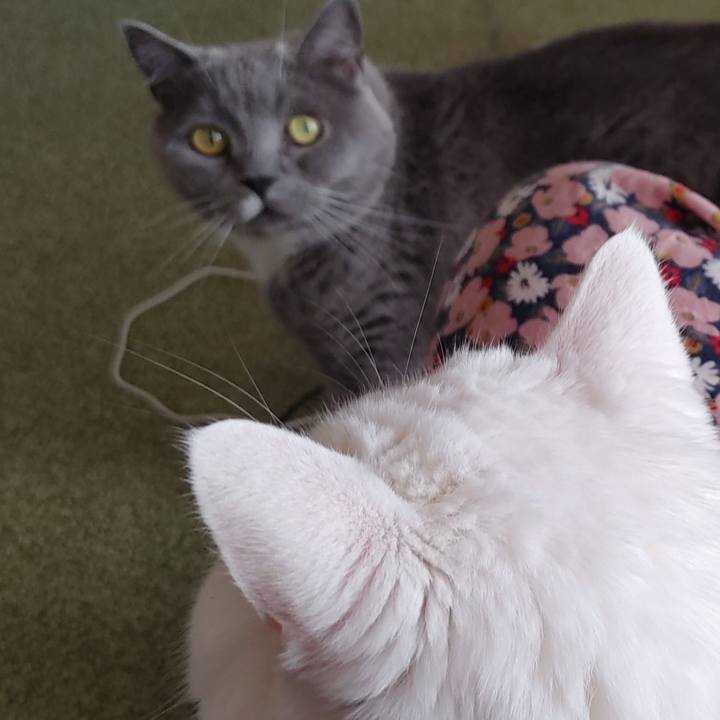 0175a8ba ebf2 4942 bce1 e846f1579981 1651273551720