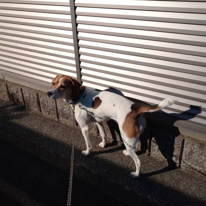 0175ac4e 38e5 497a 99ac 2bc0581eb076 1610093317579