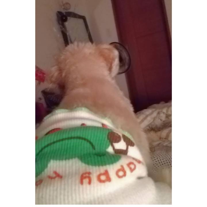 0175b0c8 a855 4cc6 8400 13866e47979f 1632913549521