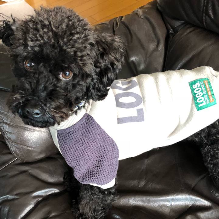 0175c273 9a87 4e7a 8289 3871a6e3fa87 1545611826465