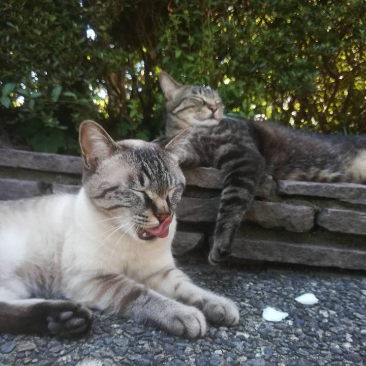 0175d5de 11b0 452f 8ecd de915b2feb26 1527831002952