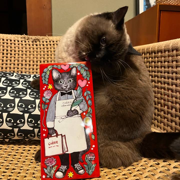 0175dd66 0414 4ecd b0c6 e53e08b420de 1737280681574