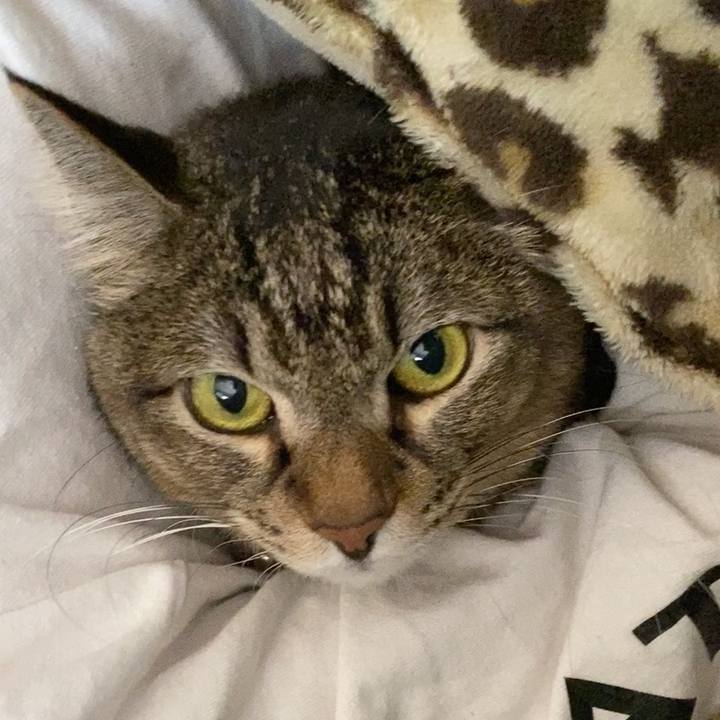 0175e2ad f460 41e0 9d41 79b0e12a8b92 1578744369897