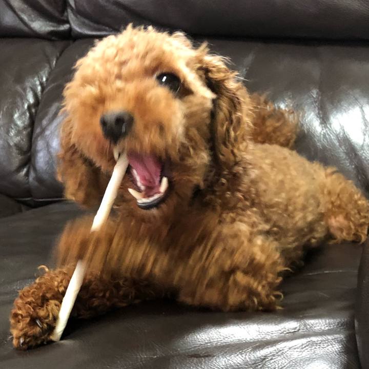 0175e3e9 f36a 4e93 9e7b b3778786dcaa 1530570102087