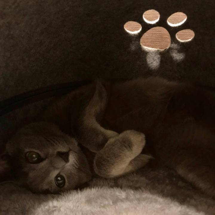 0175e467 0731 470d 9378 1304704360f1 1600768296702