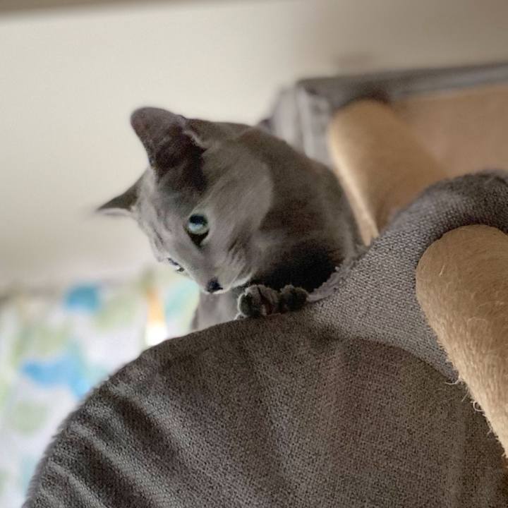 01760739 4fc0 411d aff1 0371355b5589 1643411387837