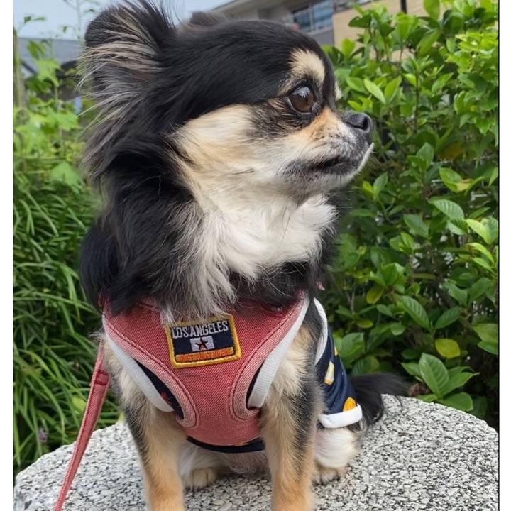 01766238 aec2 4893 99e0 900c05ac1ee6 1626219742451