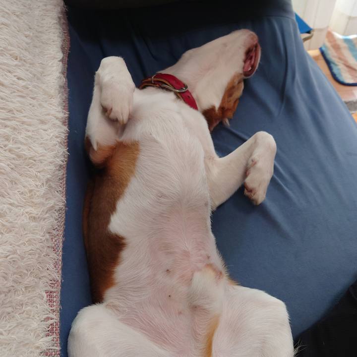 017680cd 9113 4ddc 84ff 1e5f86a302f8 1662681121146