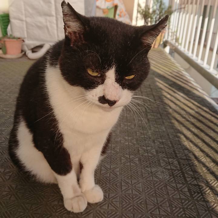 01768112 5b38 493a a3ee 2d28c4054d4a 1596840811968