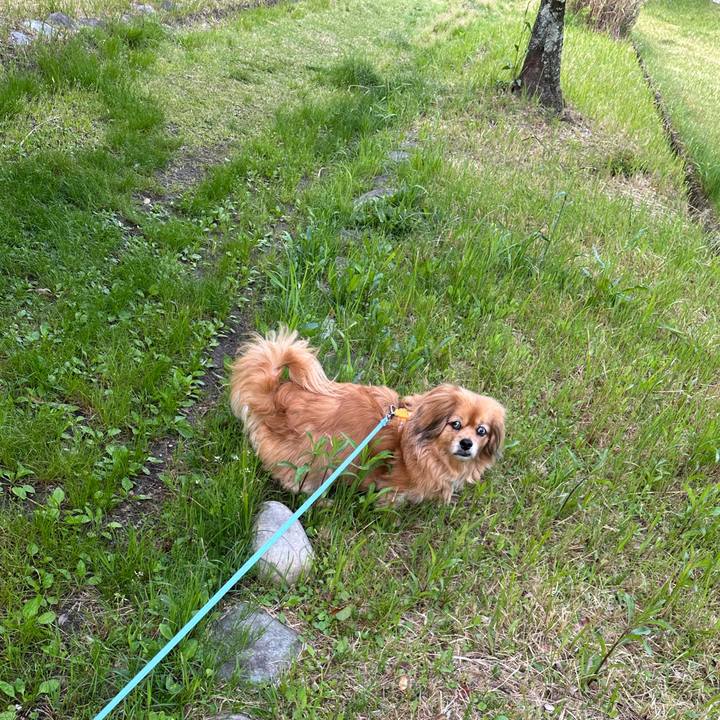 0176a4aa 8107 4158 8e6d 19386facc529 1744926733250