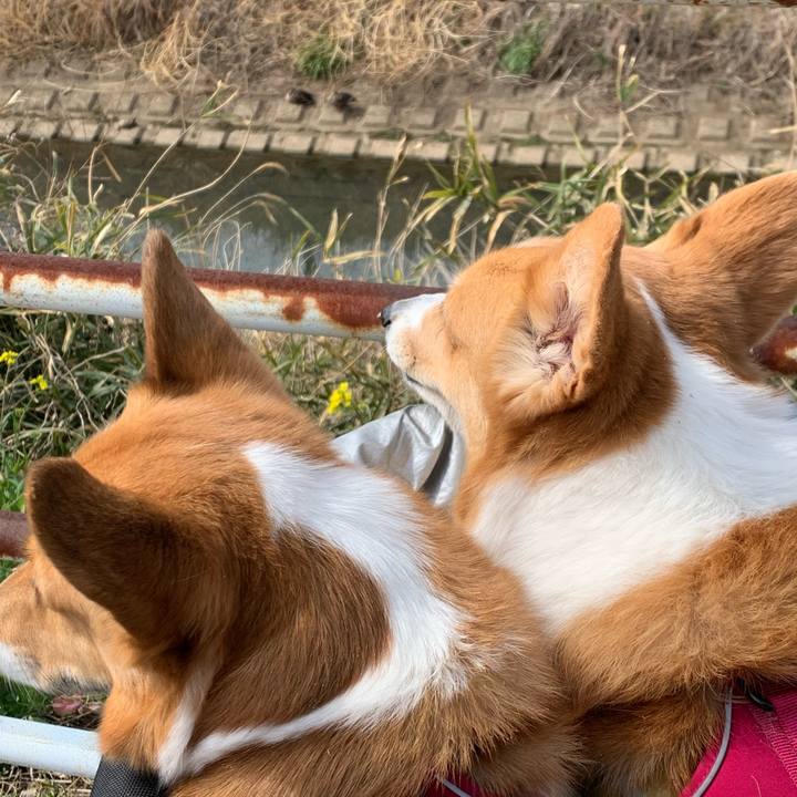 0176dc69 9ec4 45c6 aa8b 80f5138c126b 1615263972321