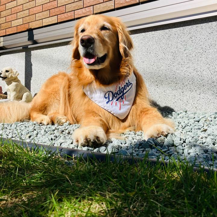 0176e0b5 1b46 4fec aea3 40d966bb1cca 1728700066704