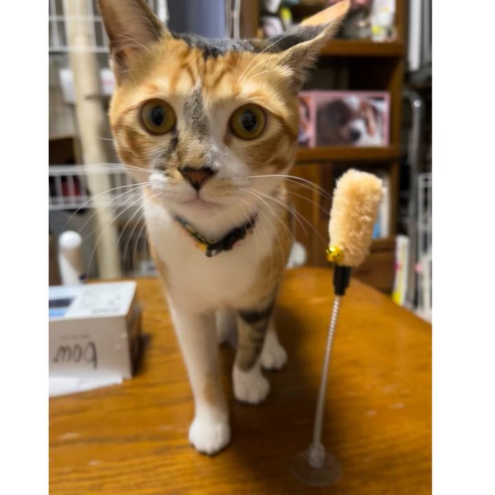 0176e972 2c65 44c6 bb55 6a4311f5027d 1668032799786