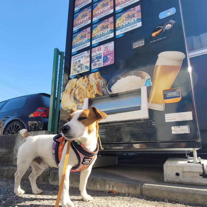 017701de 6269 4ef8 82ed e7e31fcdf5ce 1702186220610