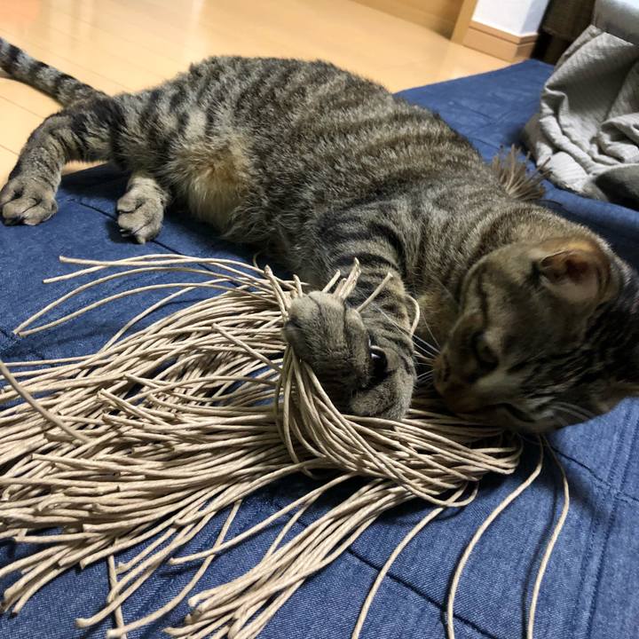 01771fda 74b0 4a76 8c2d ed37f21320ae 1525028614406