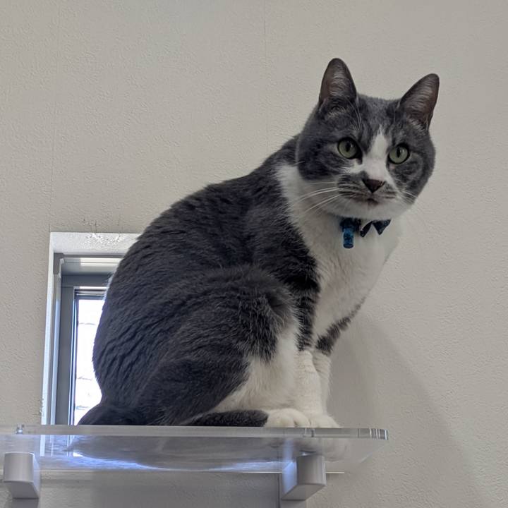 017721cc 3b60 416b b800 76912c8e8ce7 1773309711615