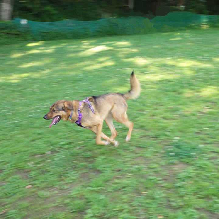 01772237 9a50 428b a94c 90d6bf85832b 1751071913831