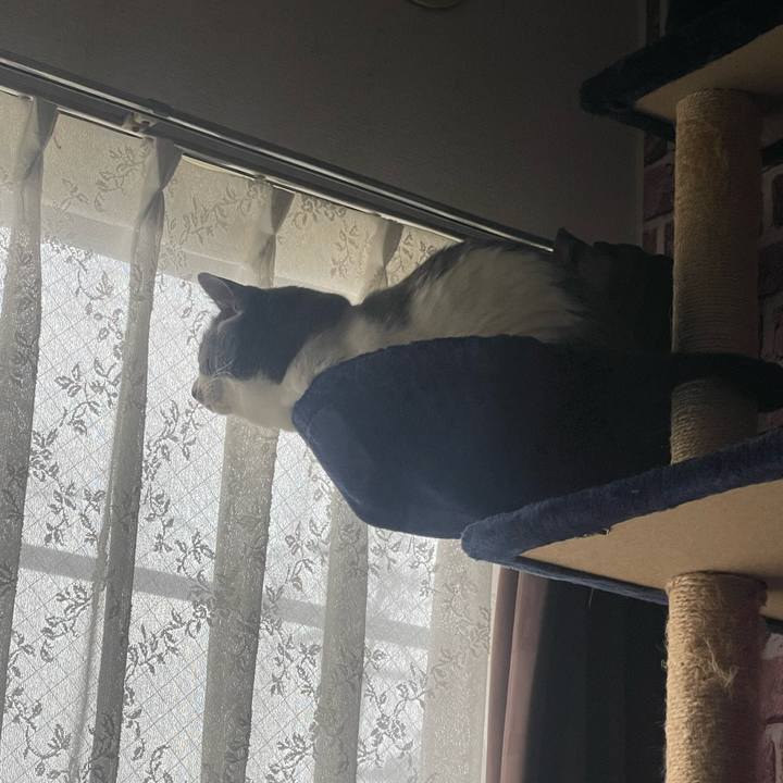 01772c9e dee6 42e5 a448 56a004ba8a08 1713736162208