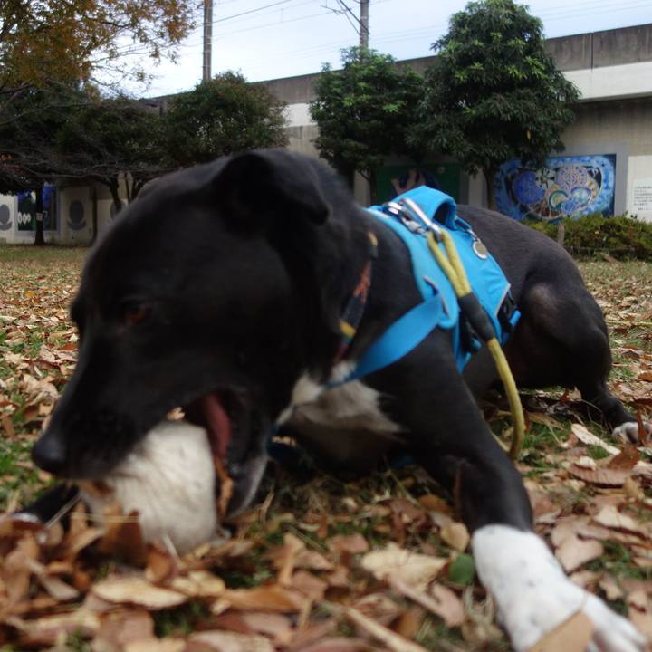 0177799b b682 4116 95ab 6a0966b8da34 1606177971587