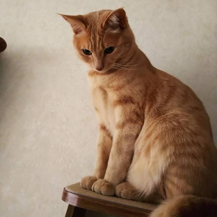 0177833a a857 489a bb6d 424396ecf710 1587369979099