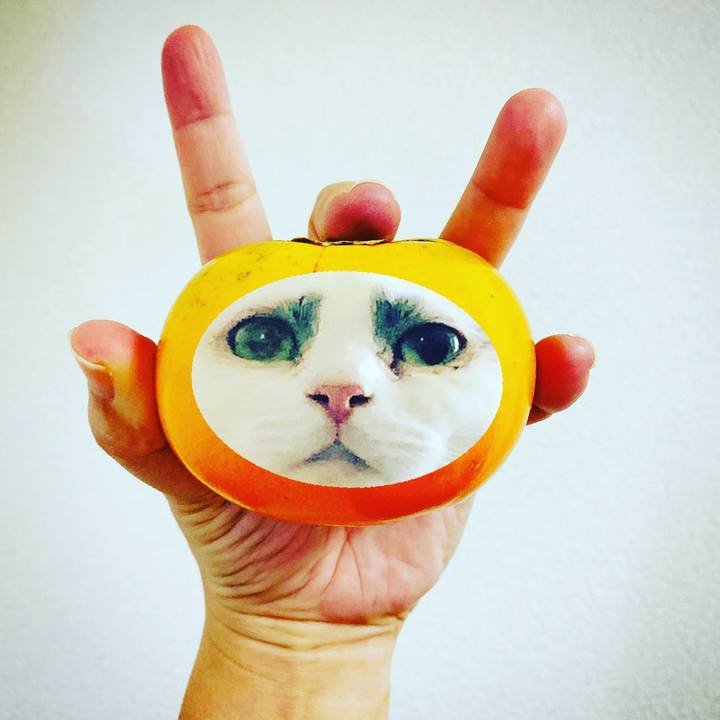 0177a4d4 b6d4 40f0 9c7b 4fbc257abc30 1570458020809