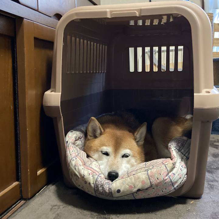 0177d9c1 acb2 4597 b194 4c2017a7aeaf 1700546359941