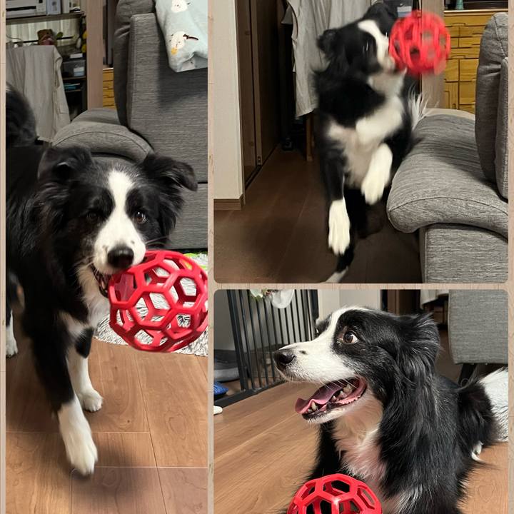 017805c6 178a 4c2f ae76 5cc3b7633af1 1776217981170