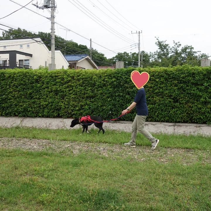 017807d7 a247 4e60 8264 c896ad60e223 1590454120793