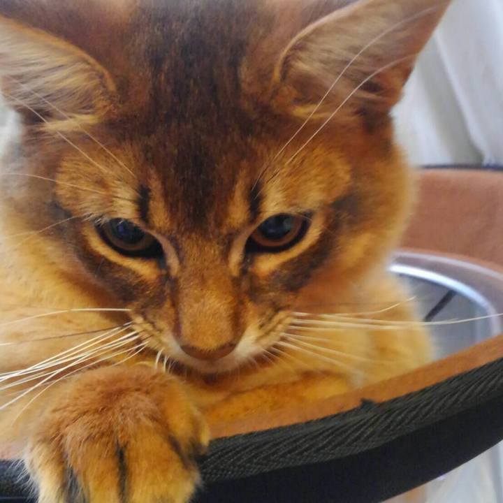 017836c3 1255 4134 aee7 f4fbccbe6a97 1580083657045