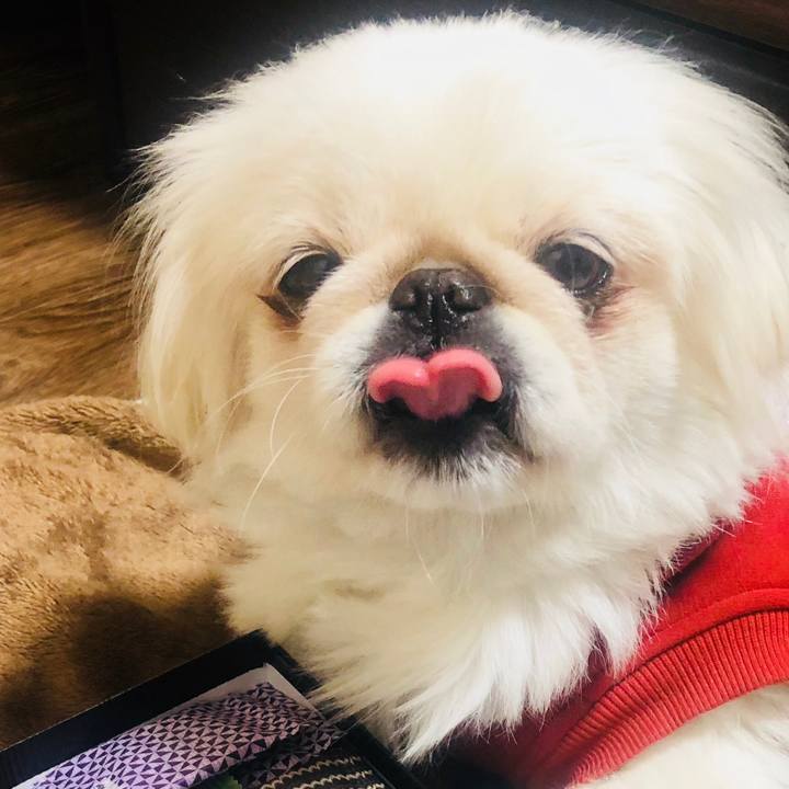 01784f54 bf2e 413a ad5c 1aabcc60b0ee 1608907347116