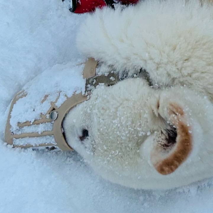 017853b0 dd1f 40c9 8183 048fdbac0a14 1766720680564