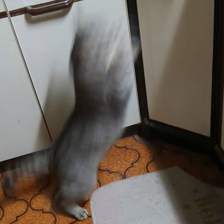 0178ac79 6171 4ae0 b885 baea607de759 1710323340280