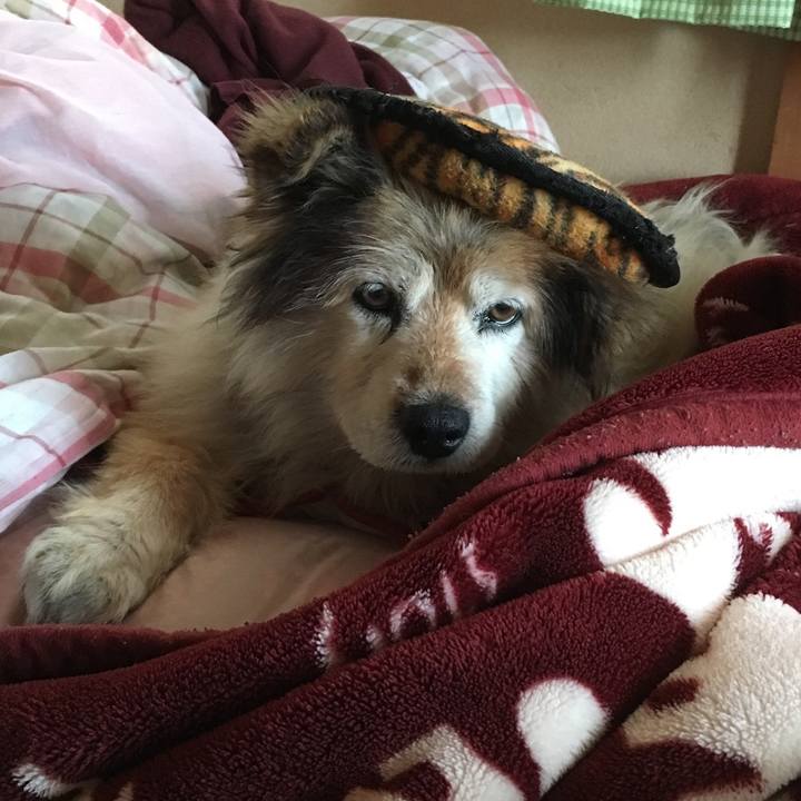 0178ae2e 4aaa 4d53 8fc5 e62e31aa522c 1582494316475