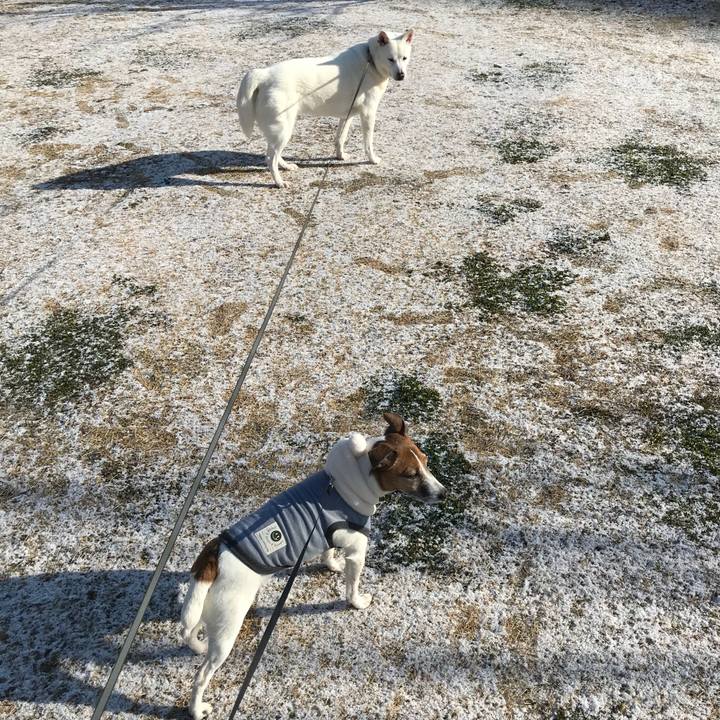 0178cbf2 b44c 4b57 a174 5d38f91edd42 1517017877537