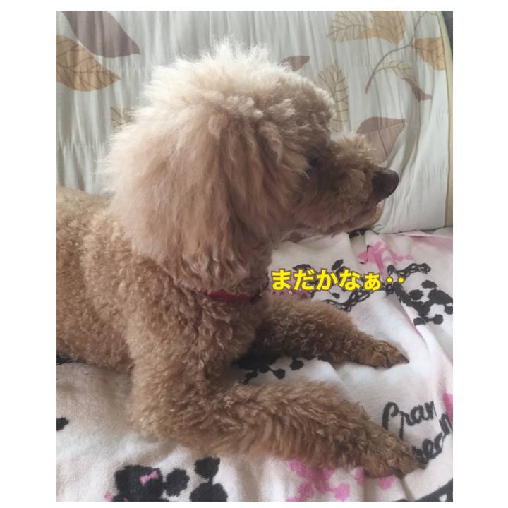 0178f3d6 fc82 4028 8a33 a50bfe9c1b2f 1527376896632