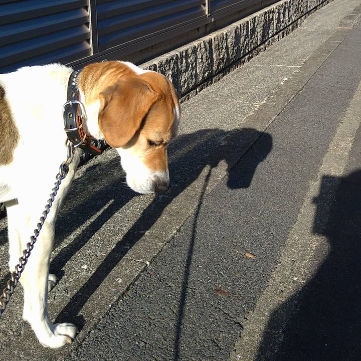 0179316d 61c2 4499 86f5 6f765e70b0dc 1649775924973